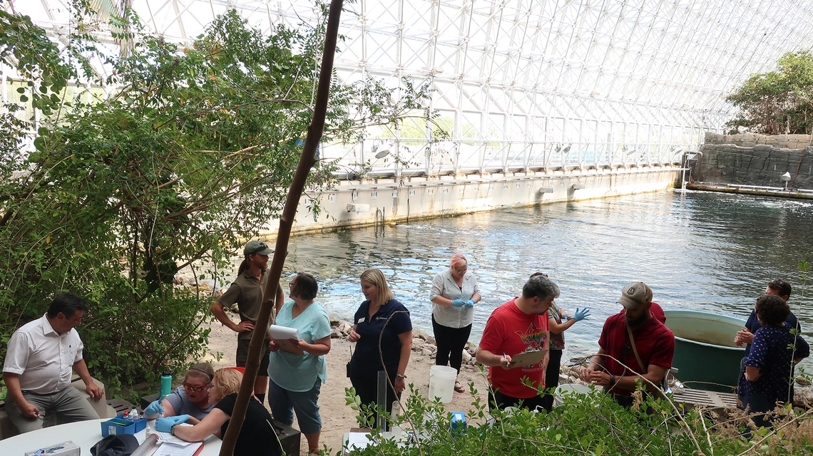 Noyce Border Scholars University of Arizona Biosphere 2